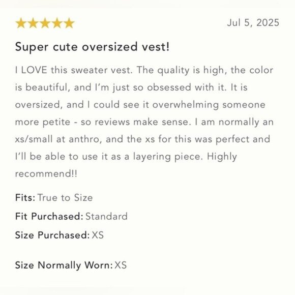 NWT Size XL (P2P 30") - Pilcro Oversized Distressed Sweater Vest (NWT US$ 128) - Picture 8 of 16